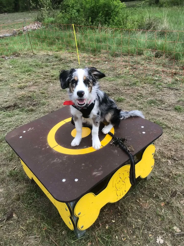 Camping Les Arches - image n°31 - Ardeche