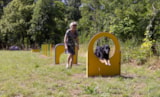 Foto #29 van Camping Les Arches