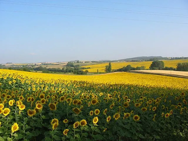 Camping Le Néri - image n°19 - UniversalBooking