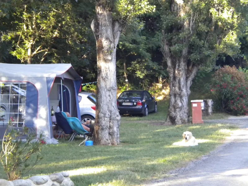 Emplacement De 80 À 100 M²