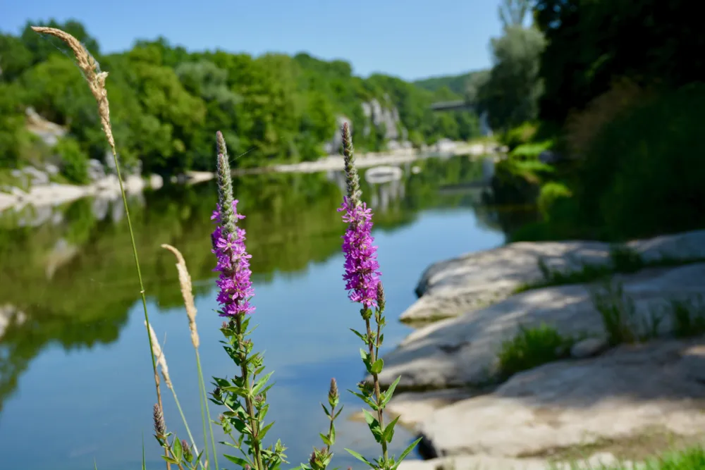 Camping les Peupliers