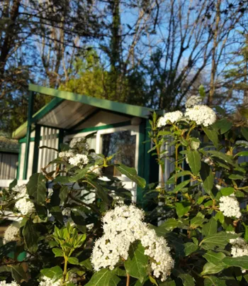 Accommodation - Chalet Eco 2 Bedrooms - Camping les Peupliers