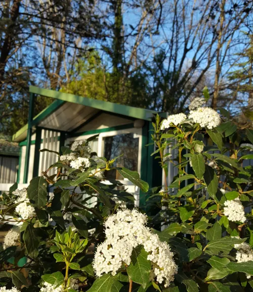 Location - Chalet Eco 2 Chambres - image n°1 - Camping les Peupliers