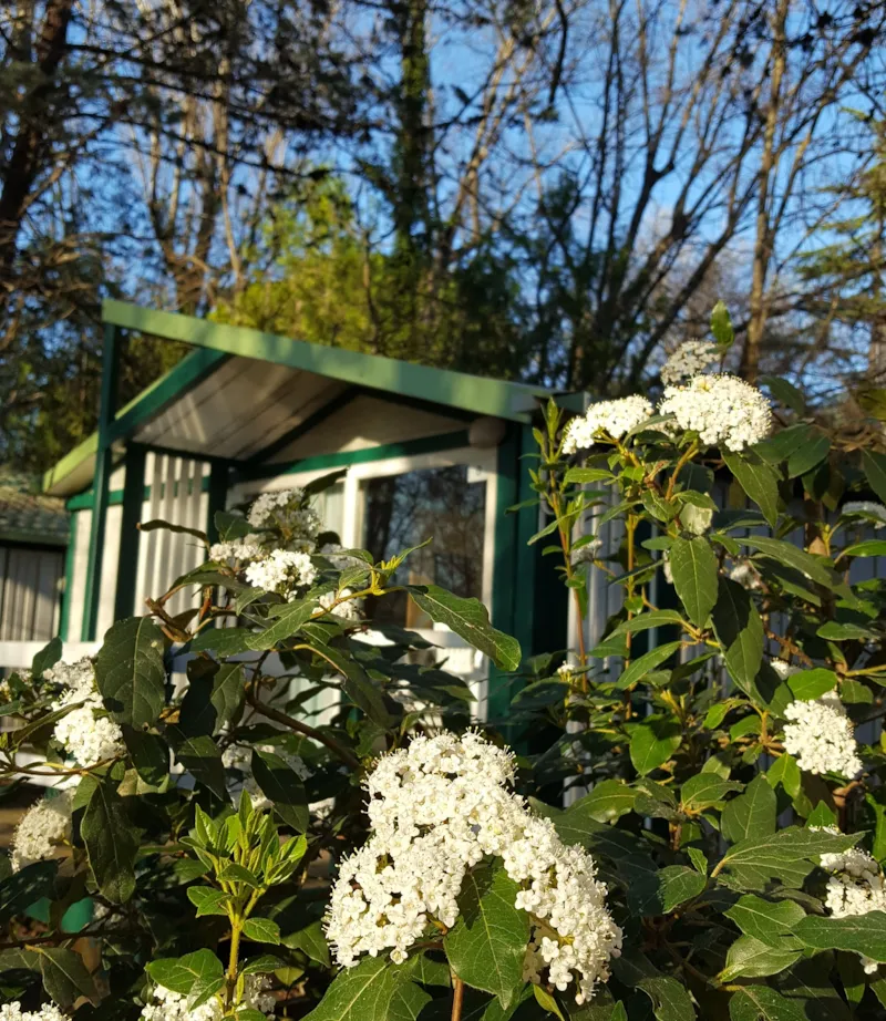 Chalet Eco 2 Chambres