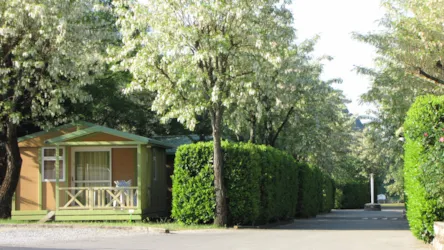 Flower Camping Le Plan d'Eau - Ardèche - image n°2 - Camping Direct