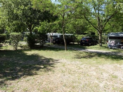 Privilege Package XL pitch 130 sqm + car + 1 tent + 1 caravan + electricity 8A