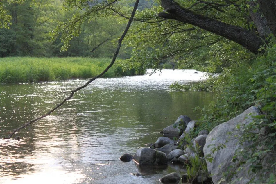 Camping Les Berges Du Doux