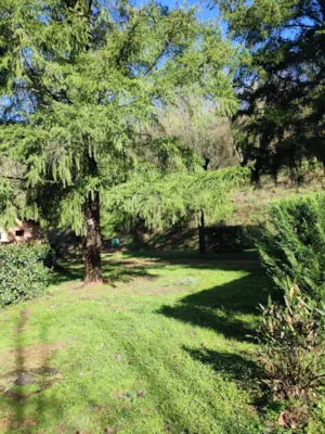 Emplacement - campsite pitch - Camping Les Berges Du Doux