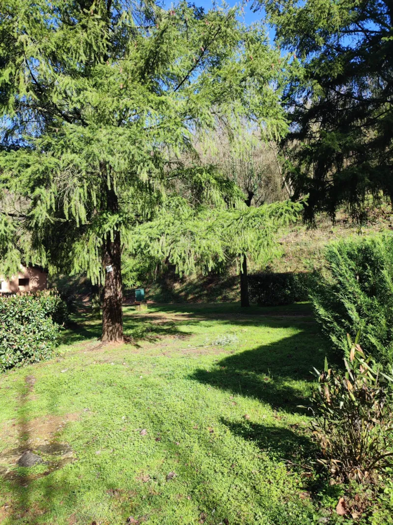 Emplacement De Camping  - Forfait 2 Pers -