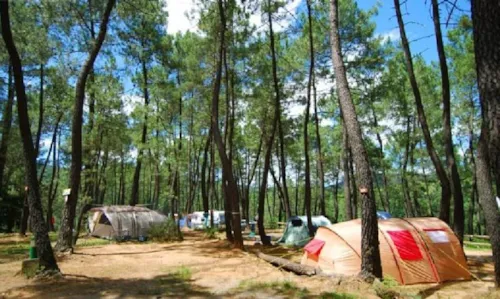Kampeerplaats(en) - Campingplaats - image n°2 - Camping Paradis - Bois Simonet