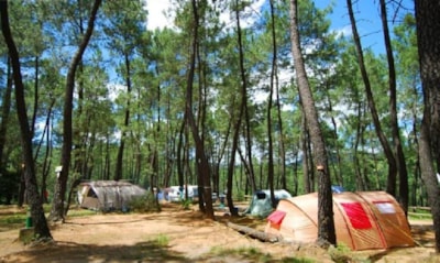 Camping pitch