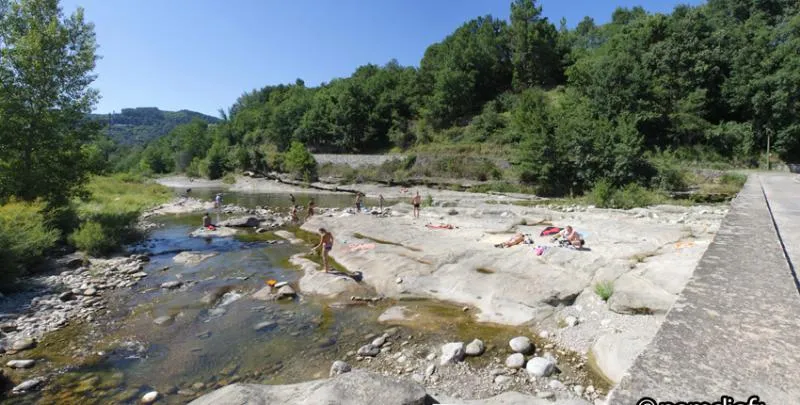 Camping Paradis - Bois Simonet