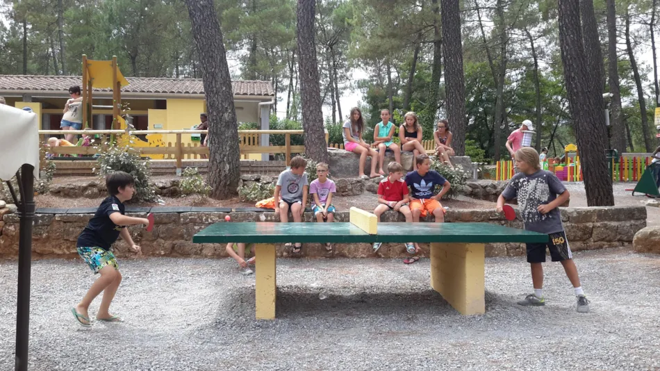Camping Paradis - Bois Simonet