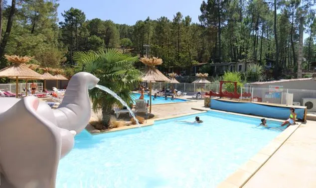 Camping Paradis - Bois Simonet