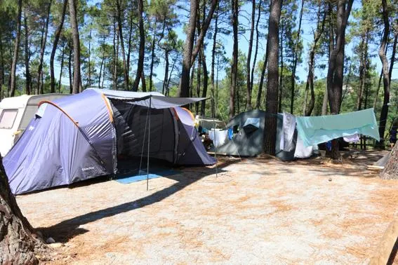 Emplacement En Camping