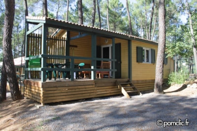 Chalet EDELWEISS - 2 Rooms