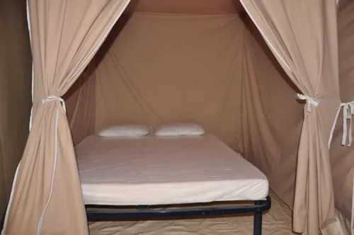 Location - Bungalow Toilé Canada 3 Chambres - Sans Sanitaire - image n°5 - Camping Paradis - Bois Simonet