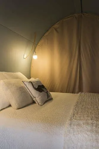 Location - Lodge Coco Sweet - 2 Chambres - image n°3 - Camping Paradis - Bois Simonet