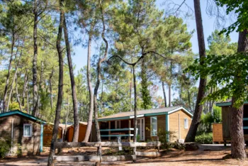Location - Chalet Mimosa - 2 Chambres - Camping Paradis - Bois Simonet
