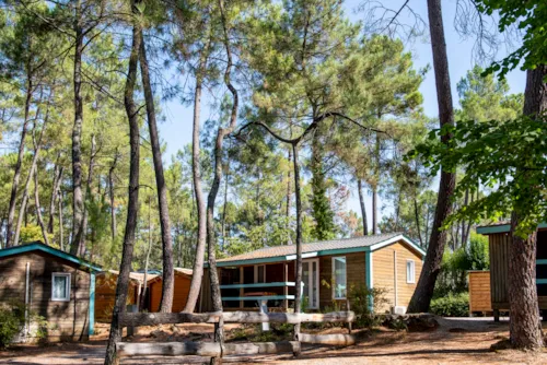 Location - Chalet Mimosa - 2 Chambres - image n°1 - Camping Paradis - Bois Simonet