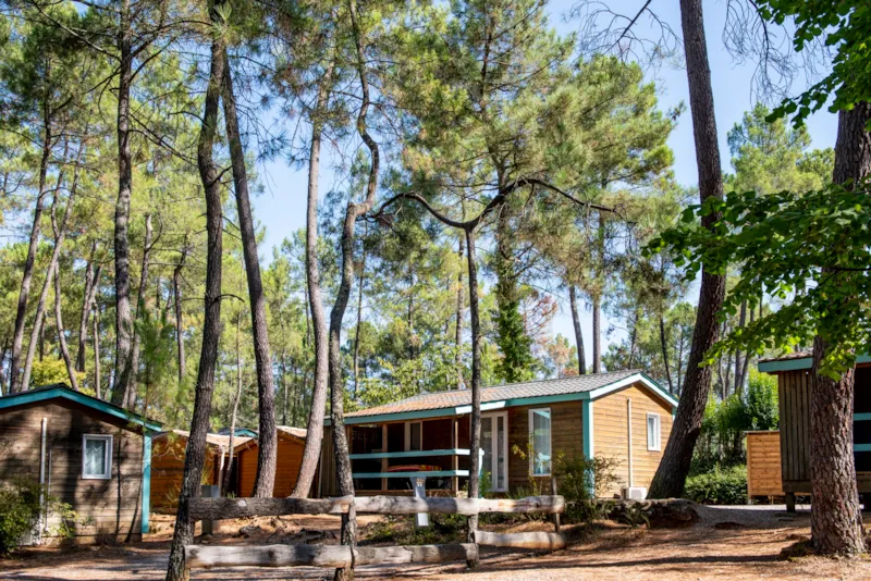 Chalet Mimosa - 2 Chambres