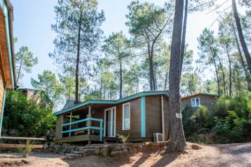 Location - Chalet Mimosa - 2 Chambres - image n°2 - Camping Paradis - Bois Simonet