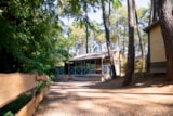 Chalet Acacia - 2 Camere Chalet Acacia - 2 Camere