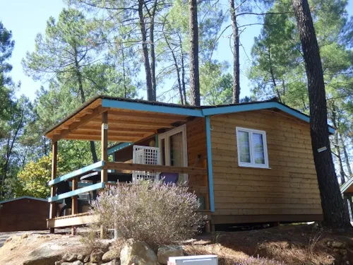 Location - Chalet Joker - 1 Chambre - image n°8 - Camping Paradis - Bois Simonet