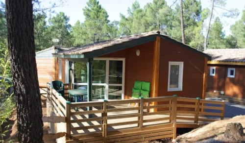 Location - Chalet Fougere - 2 Chambres - image n°1 - Camping Paradis - Bois Simonet