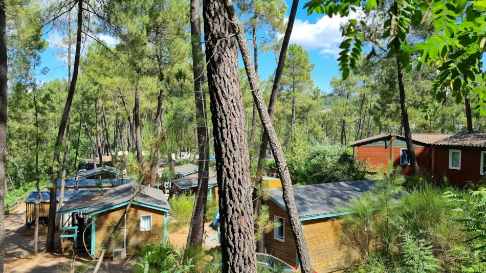 Camping Paradis - Bois Simonet