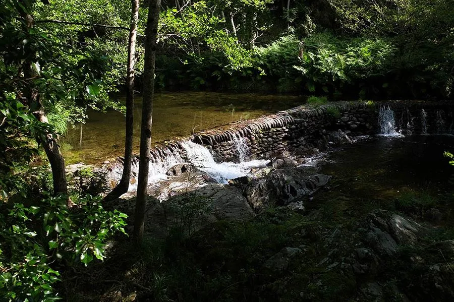 Camping Le Moulin de Gournier