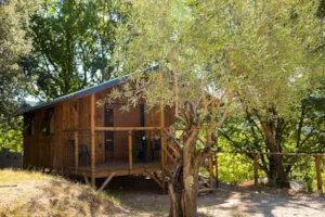 Locatif - Hut Ardéchoise - CAMPING LE VIEUX VALLON