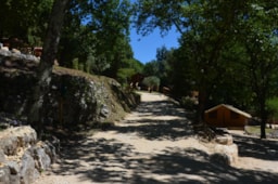CAMPING LE VIEUX VALLON - image n°7 - Roulottes