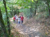 Foto #13 van Camping Le Rouge Gorge
