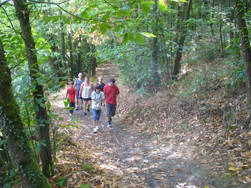 Camping Le Rouge Gorge****