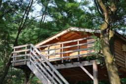 Accommodation - Treehouse - Camping le Viaduc