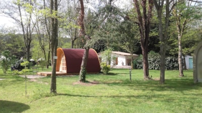 Pod