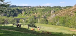 Camping le Viaduc - image n°6 - Roulottes