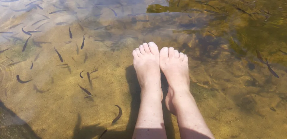 Camping Ushuaïa Villages Le Viaduc