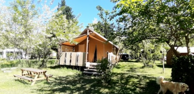 Jungle Lodge