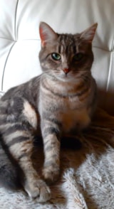 Foto #13 van Camping Ushuaïa Villages Le Viaduc