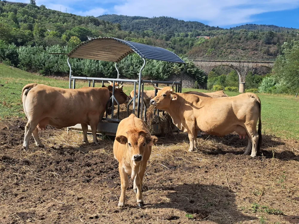 Camping Ushuaïa Villages Le Viaduc - image n°42 - RhoneAlpes