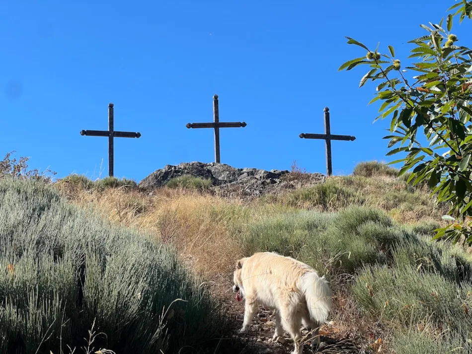 Camping Ushuaïa Villages Le Viaduc