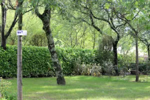 Emplacement - Stellplatz Zelt - CAMPING LA SOURCE