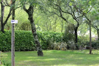 Stellplatz - Stellplatz Zelt - CAMPING LA SOURCE
