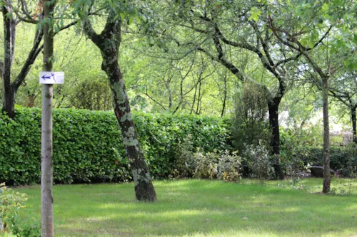 Stellplatz - Stellplatz Zelt - image n°1 - CAMPING LA SOURCE