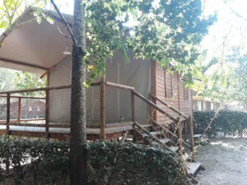 Mietunterkunft - Holzhütte 23M² - CAMPING LA SOURCE
