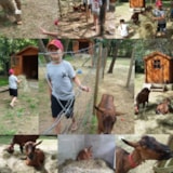 Foto #24 van Camping La Source