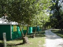 Accommodation - Furnished Tent Without Toilet Blocks - CAMPING DU LION