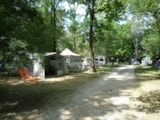 Foto #6 van Camping Du Lion